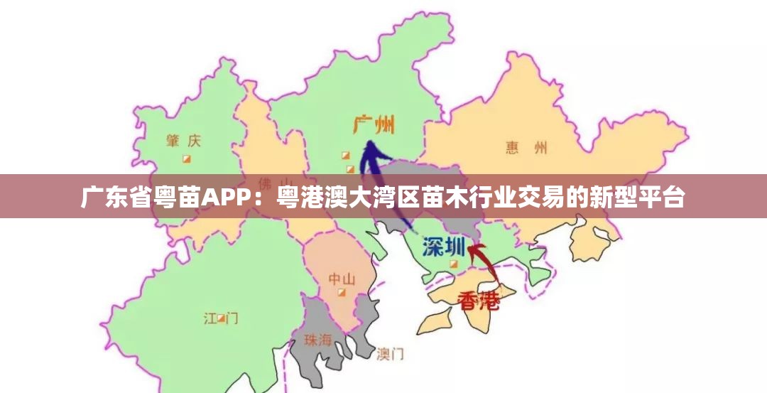 广东省粤苗APP：粤港澳大湾区苗木行业交易的新型平台