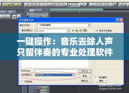 一键操作：音乐去除人声只留伴奏的专业处理软件推荐