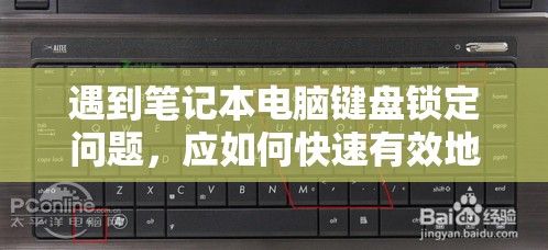 (梦想岛的12个暖心故事讲了什么)梦想海岛王攻略：打造理想海岛的终极指南与实用技巧