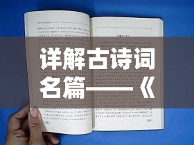 奥门一肖中100%期期准管家婆,多元化的解读与应用策略_R版.2.34