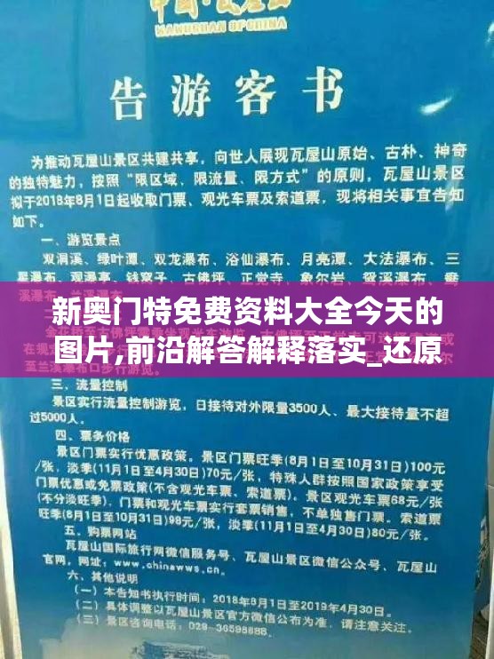 2024新港彩原料免费管家婆：打造您的财富之路，实现梦想的捷径