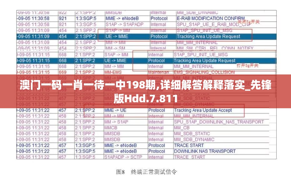 澳门一码一肖一待一中198期,详细解答解释落实_先锋版Hdd.7.811