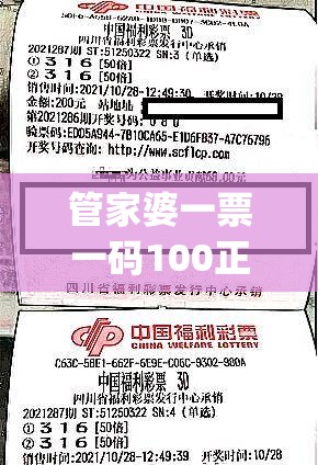 管家婆一票一码100正确  ,解析关键问题的重要性与实施策略_公开款.7.838