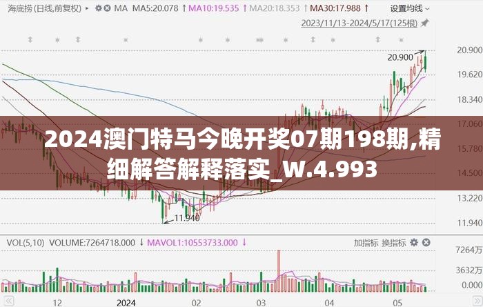 2024澳门特马今晚开奖07期198期,精细解答解释落实_W.4.993