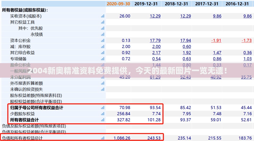 2004新奥精准资料免费提供，今天的最新图片一览无遗！