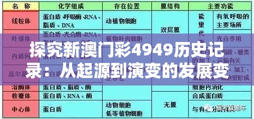 澳门特马今期开奖结果查询|探索澳门魅力与文化风情_环保款.4.680