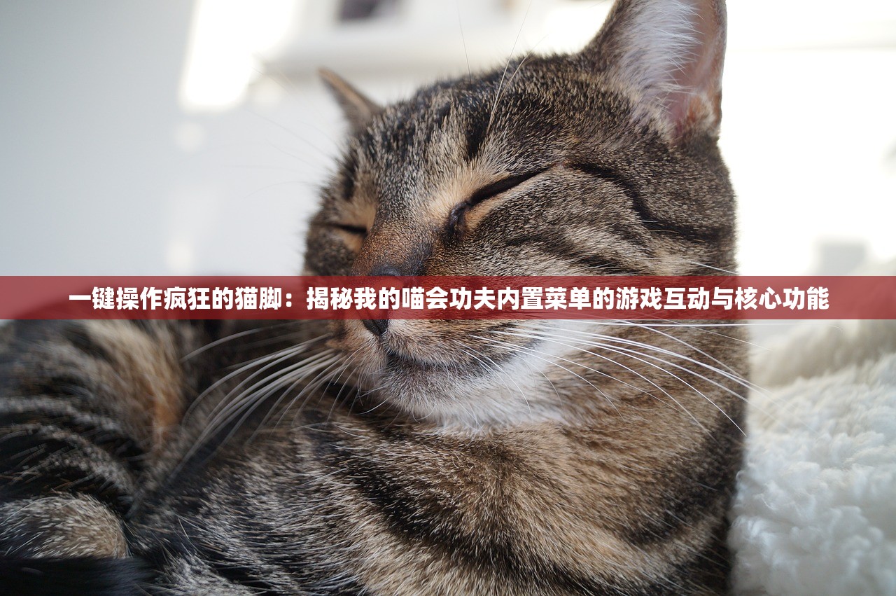 一键操作疯狂的猫脚：揭秘我的喵会功夫内置菜单的游戏互动与核心功能