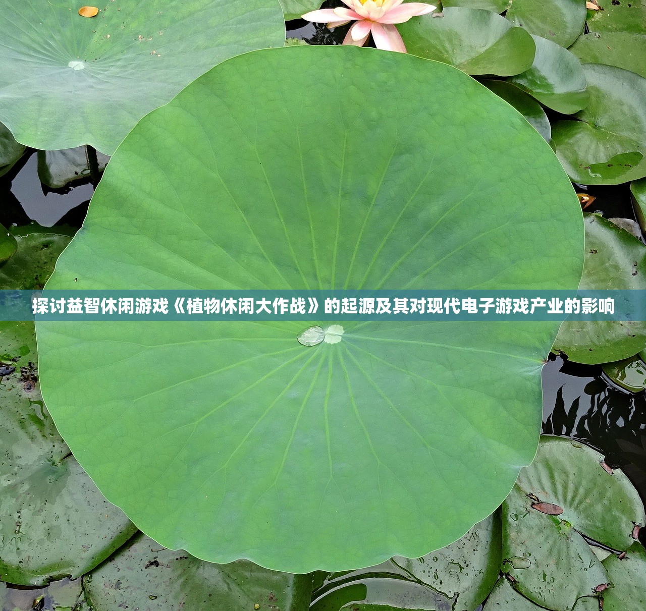 探讨益智休闲游戏《植物休闲大作战》的起源及其对现代电子游戏产业的影响