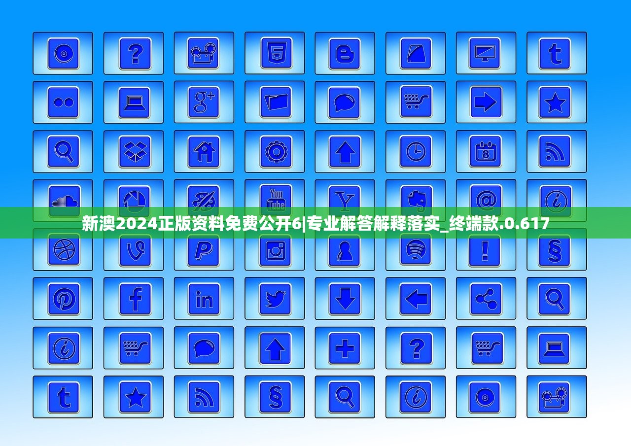 新澳2024正版资料免费公开6|专业解答解释落实_终端款.0.617