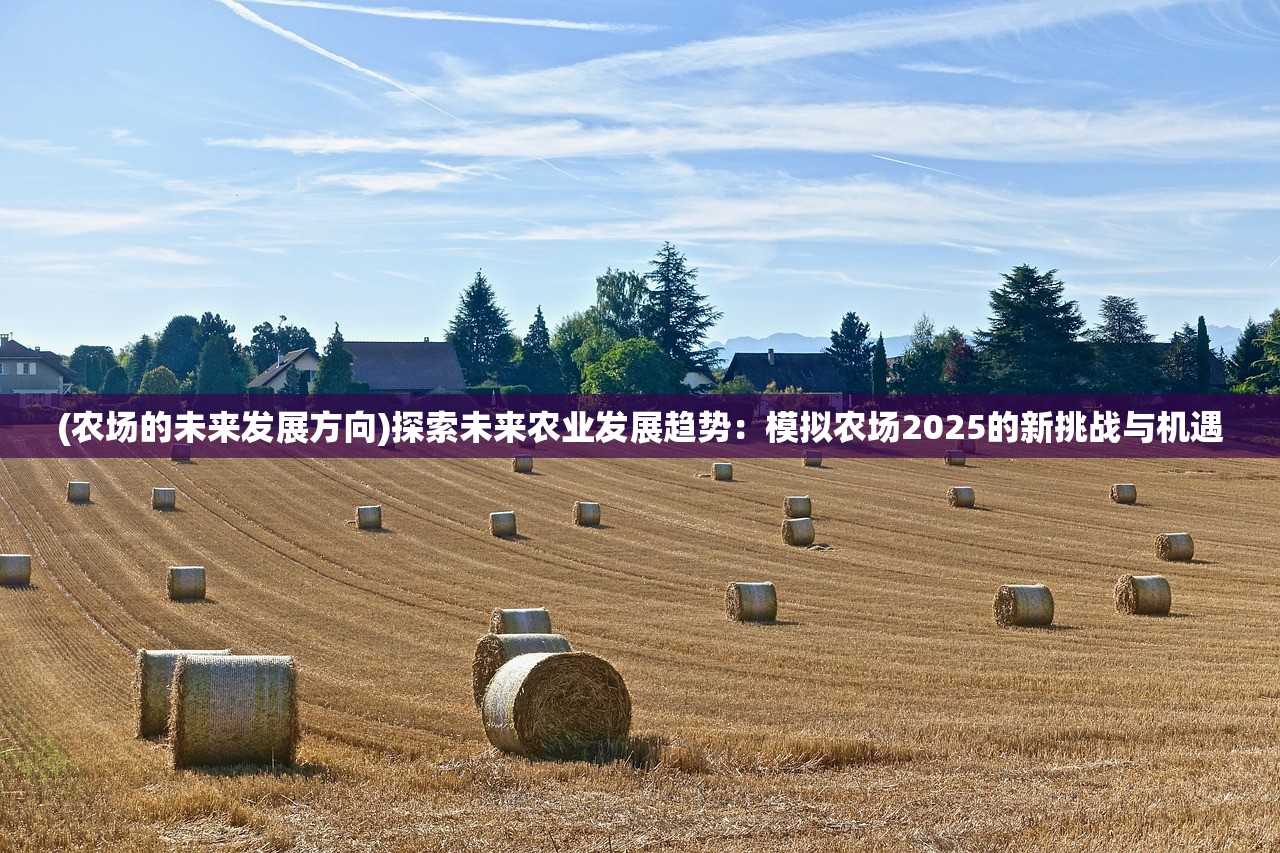 (姬娘物语内置菜单下载)姬娘物语内置菜单解析，深入探索游戏世界背后的秘密与操作技巧