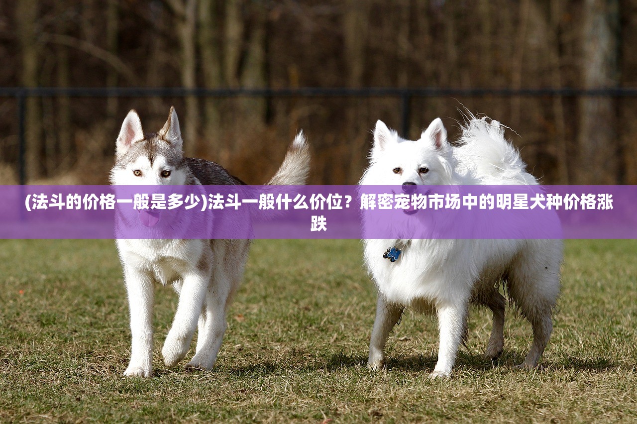 (终结者7什么时候上映)终结者7，2024年科幻巨制震撼来袭，时间机器与未来战士的终极对决即将上演！