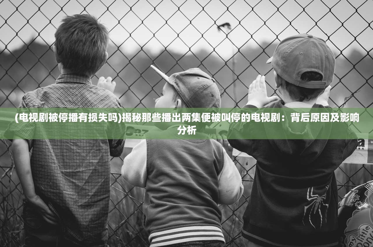 (电视剧被停播有损失吗)揭秘那些播出两集便被叫停的电视剧：背后原因及影响分析