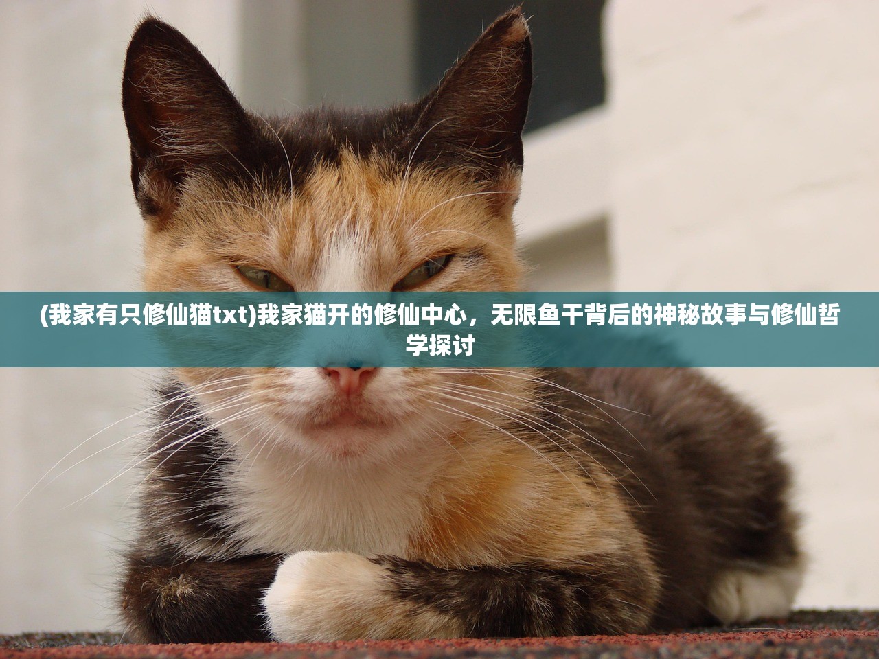 (我家有只修仙猫txt)我家猫开的修仙中心，无限鱼干背后的神秘故事与修仙哲学探讨