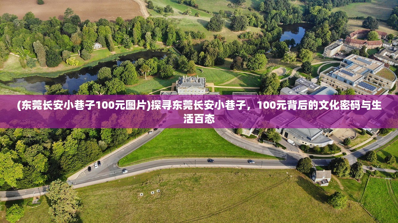 (东莞长安小巷子100元图片)探寻东莞长安小巷子，100元背后的文化密码与生活百态