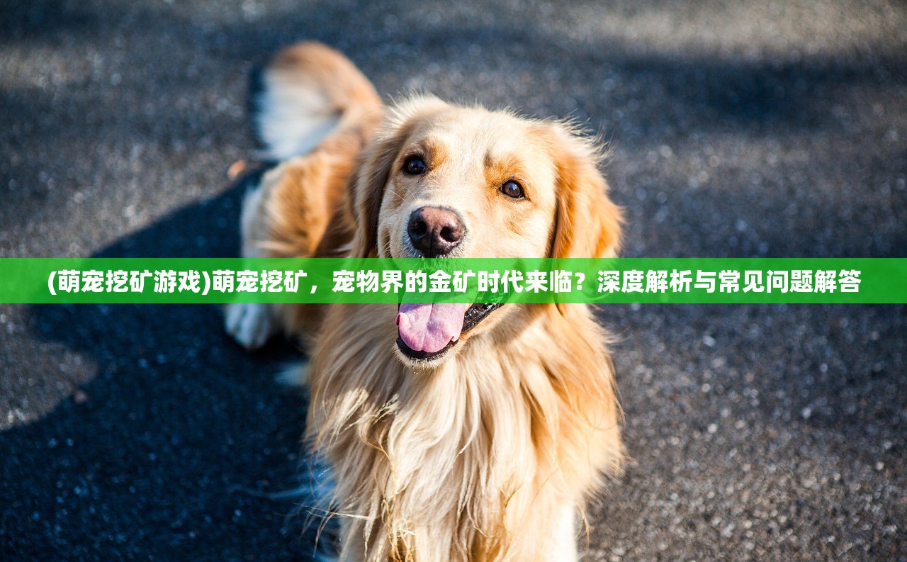 (萌宠挖矿游戏)萌宠挖矿，宠物界的金矿时代来临？深度解析与常见问题解答