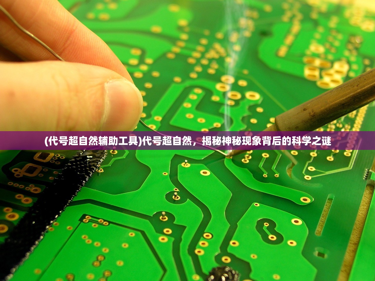 (校园模拟器 樱花校园模拟器,破解版)樱花校园模拟器，探索虚拟校园生活的新篇章——校园模拟器深度解析及常见问题解答