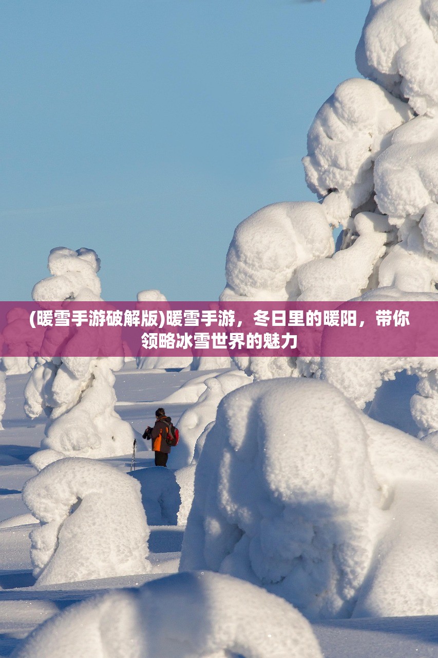 (暖雪手游破解版)暖雪手游，冬日里的暖阳，带你领略冰雪世界的魅力