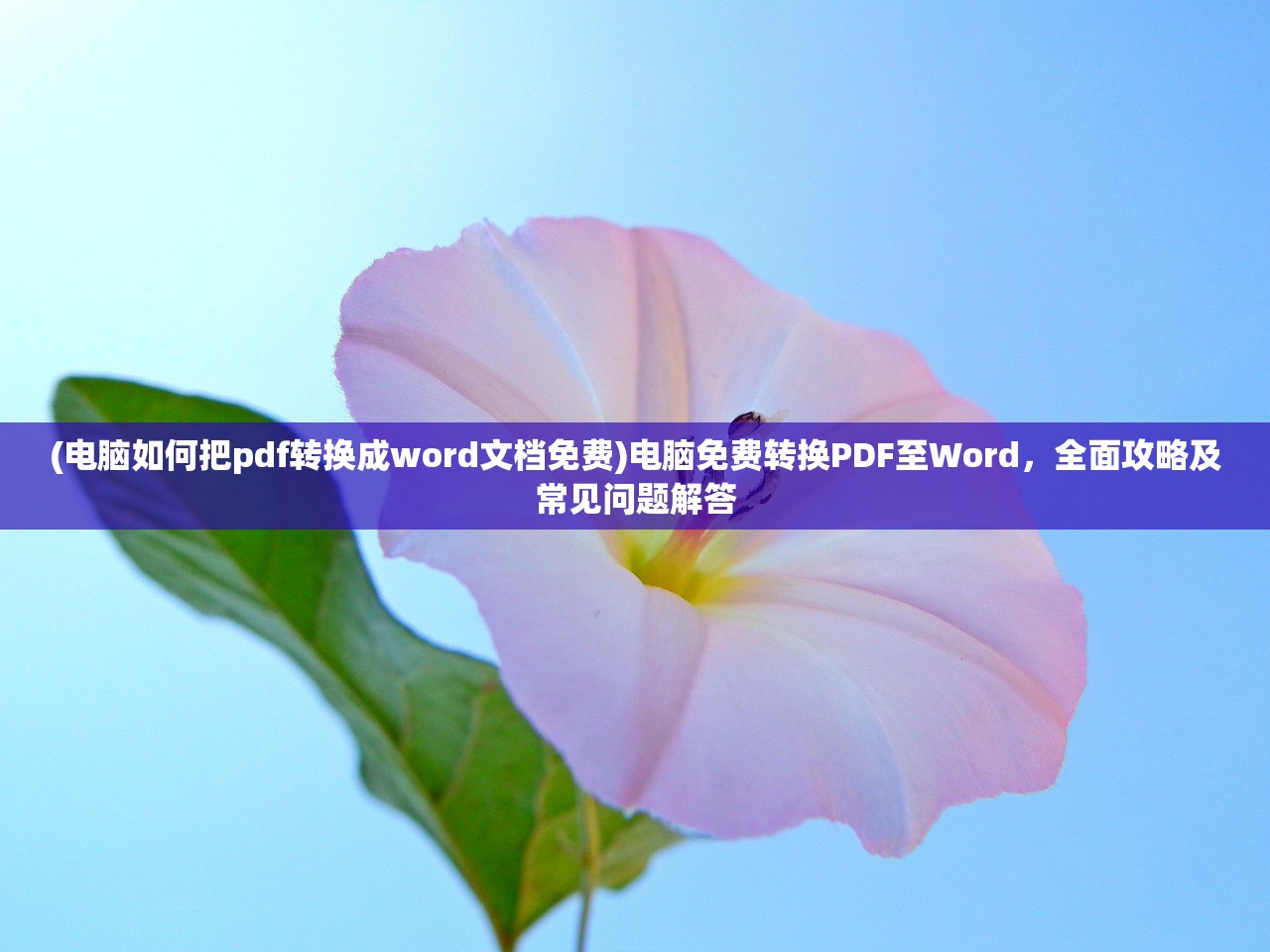 (电脑如何把pdf转换成word文档免费)电脑免费转换PDF至Word，全面攻略及常见问题解答