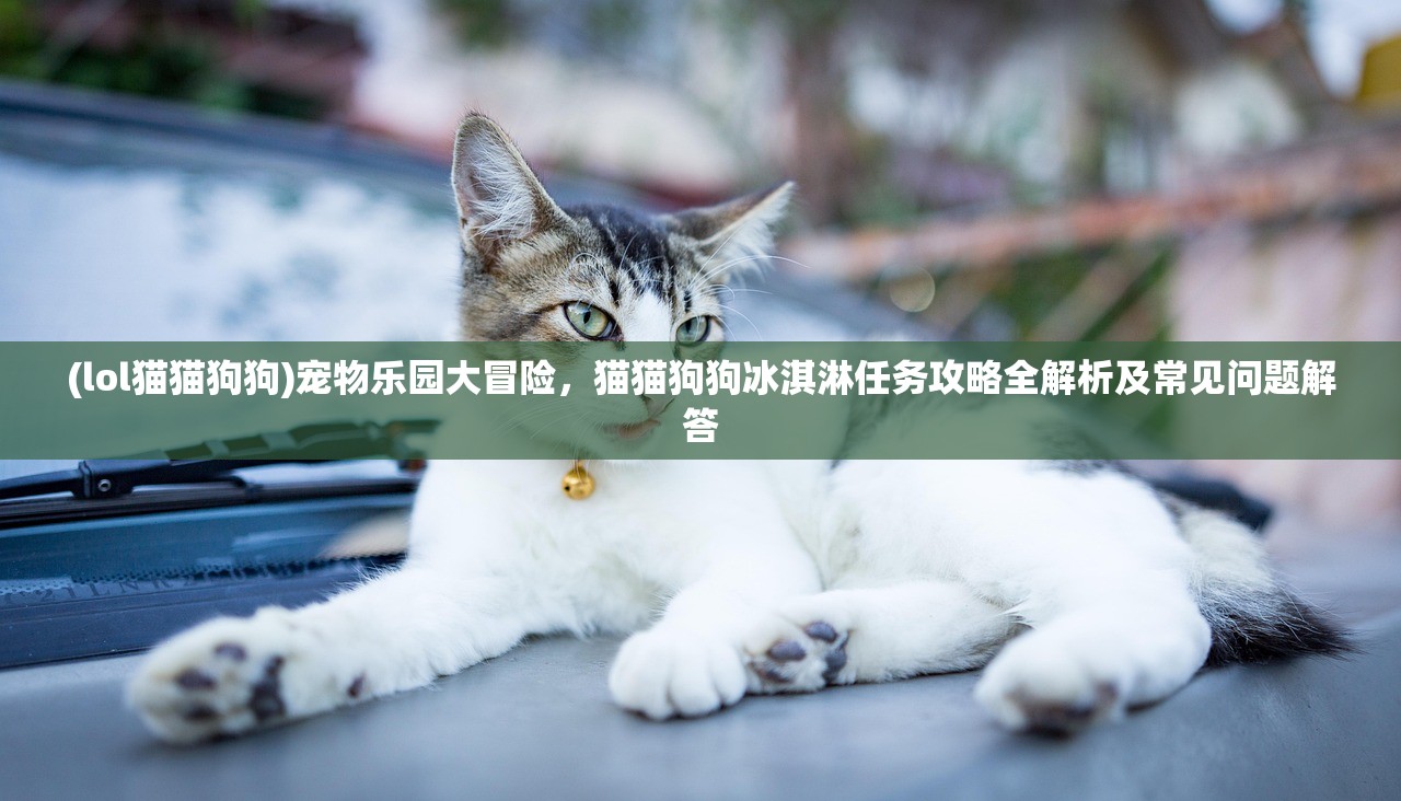 (lol猫猫狗狗)宠物乐园大冒险，猫猫狗狗冰淇淋任务攻略全解析及常见问题解答