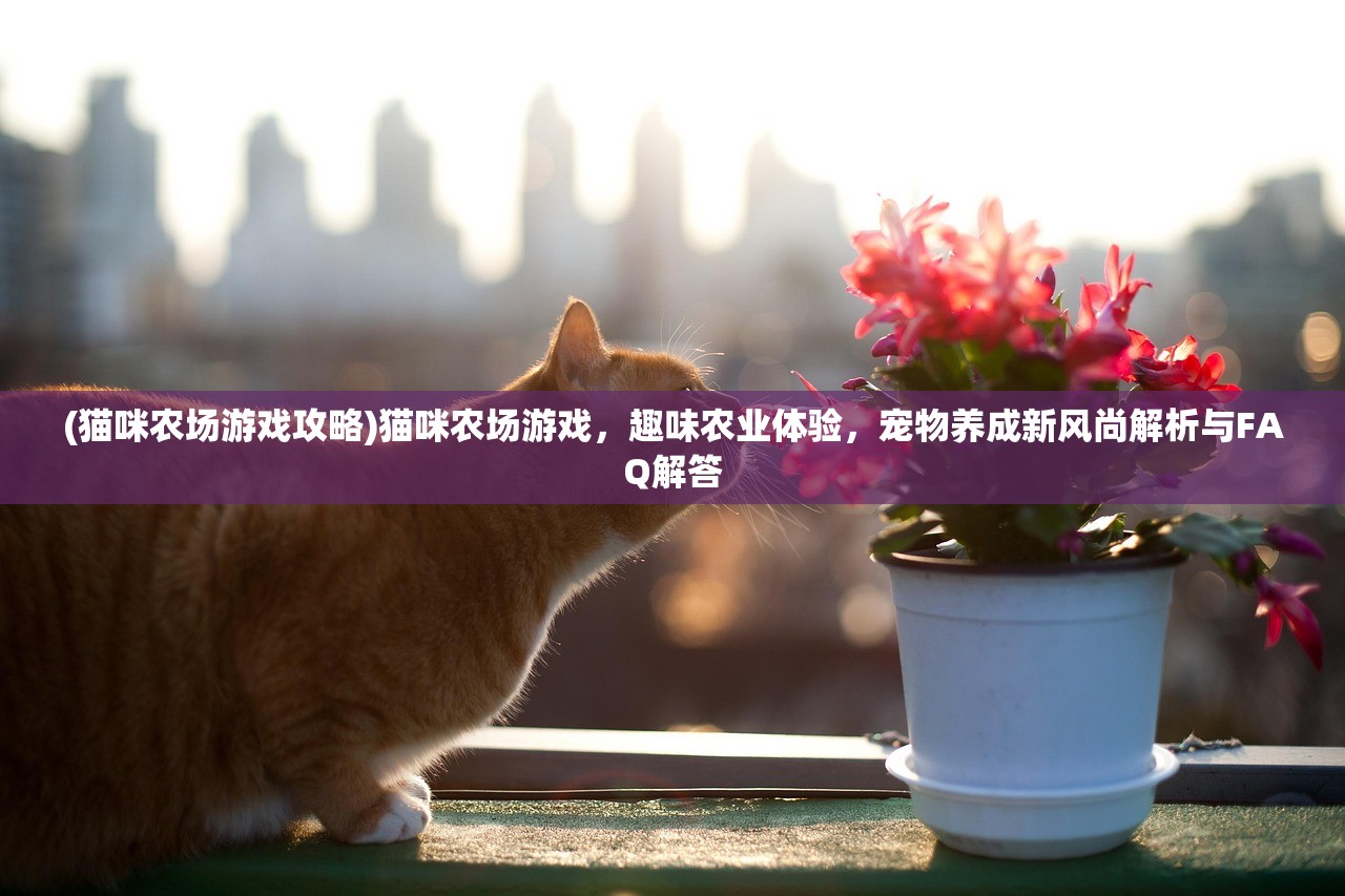 (猫咪农场游戏攻略)猫咪农场游戏，趣味农业体验，宠物养成新风尚解析与FAQ解答