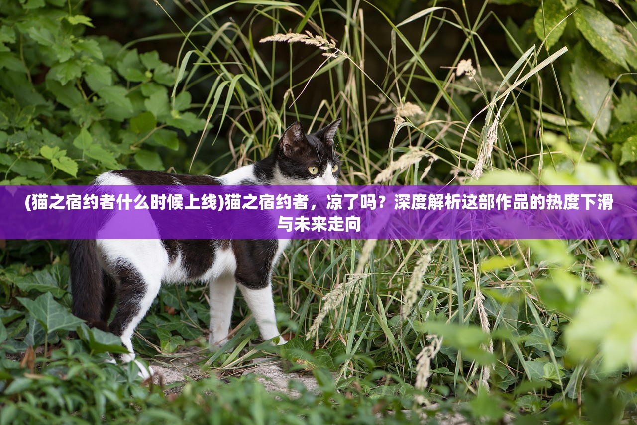 (无极仙道全文阅读下载)无极仙道，探寻东方仙侠世界的奥秘与境界