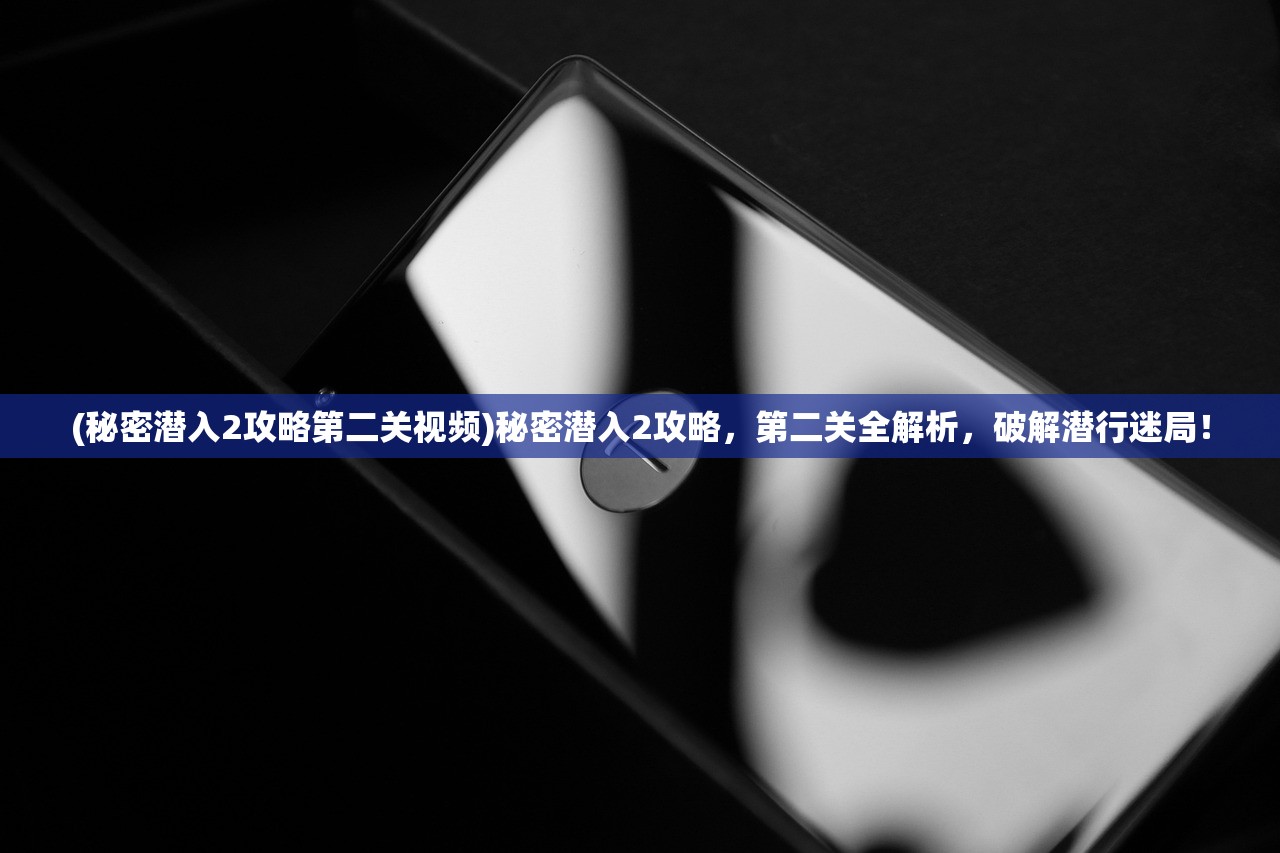 (秘密潜入2攻略第二关视频)秘密潜入2攻略，第二关全解析，破解潜行迷局！