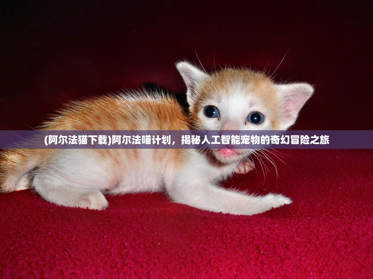 (阿尔法猫下载)阿尔法喵计划，揭秘人工智能宠物的奇幻冒险之旅