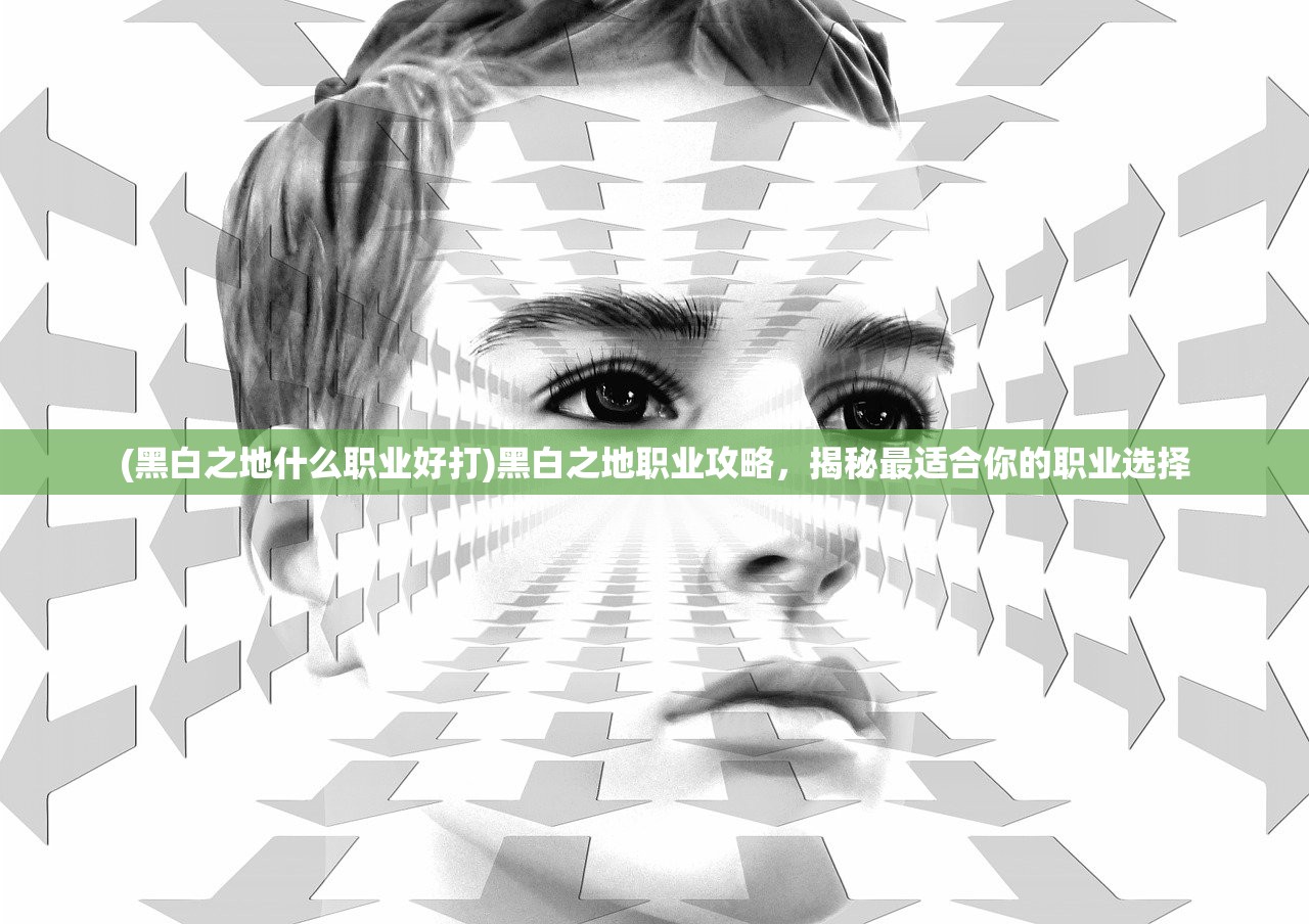 (黑白之地什么职业好打)黑白之地职业攻略，揭秘最适合你的职业选择