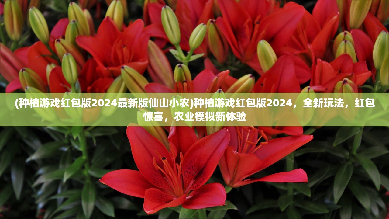 (种植游戏红包版2024最新版仙山小农)种植游戏红包版2024，全新玩法，红包惊喜，农业模拟新体验