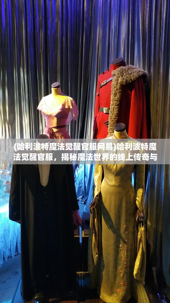 (哈利波特魔法觉醒官服网易)哈利波特魔法觉醒官服，揭秘魔法世界的线上传奇与玩家热议焦点