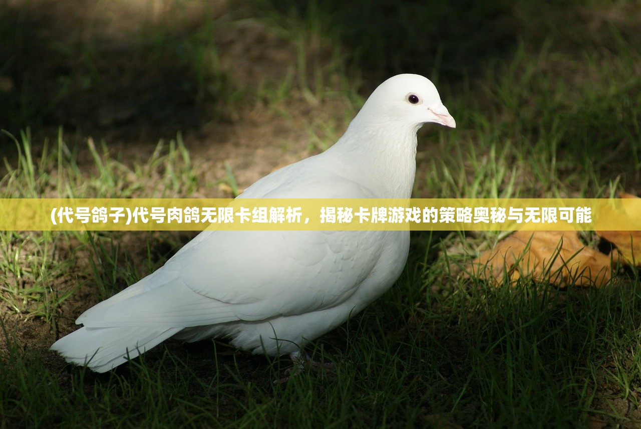 (代号鸽子)代号肉鸽无限卡组解析，揭秘卡牌游戏的策略奥秘与无限可能