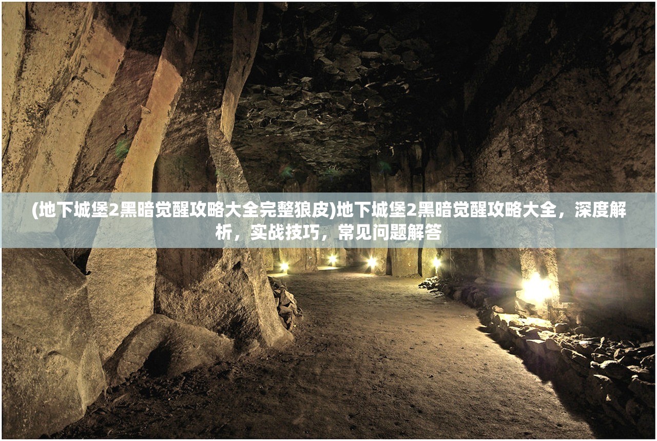 (地下城堡2黑暗觉醒攻略大全完整狼皮)地下城堡2黑暗觉醒攻略大全，深度解析，实战技巧，常见问题解答
