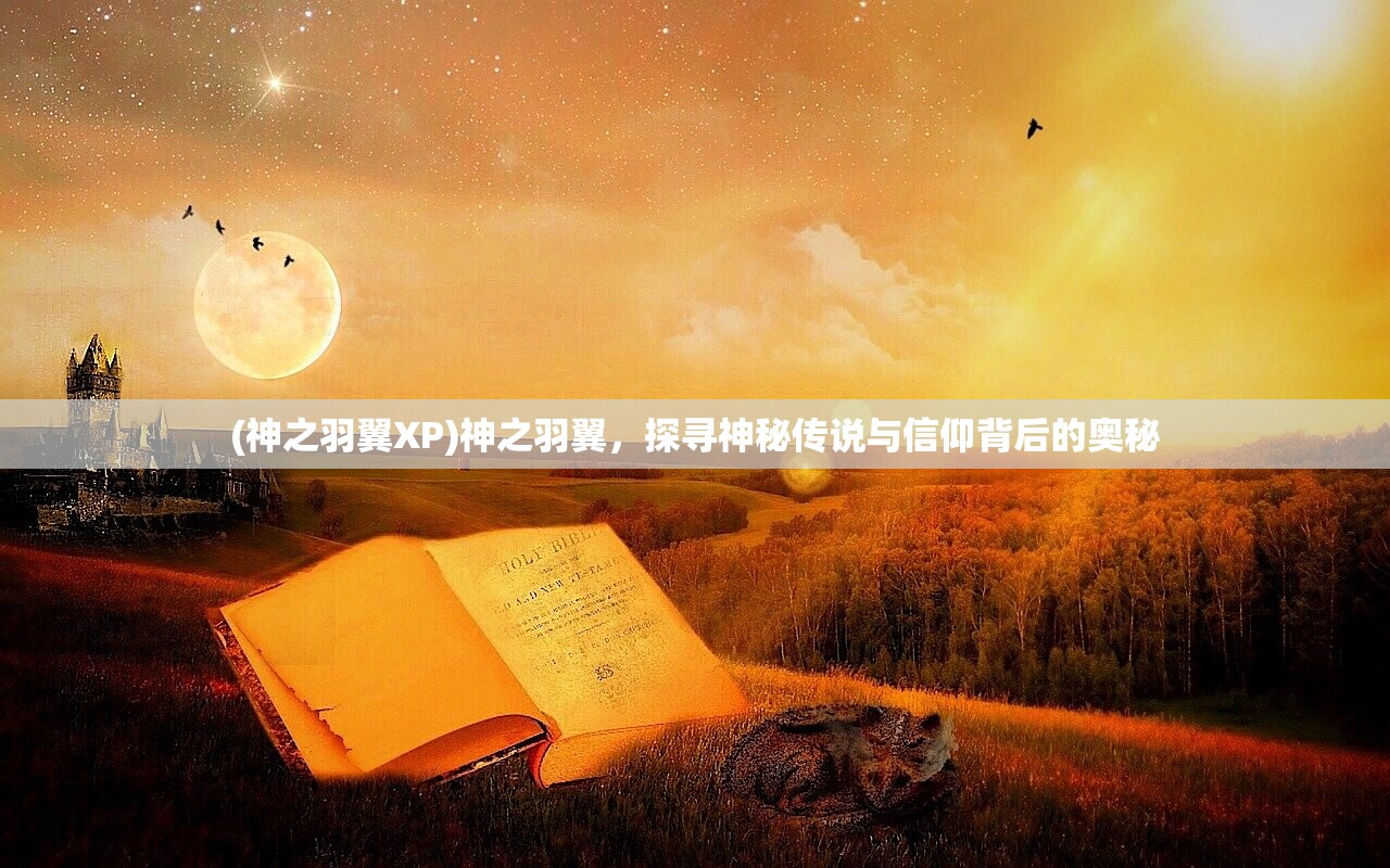 (神之羽翼XP)神之羽翼，探寻神秘传说与信仰背后的奥秘