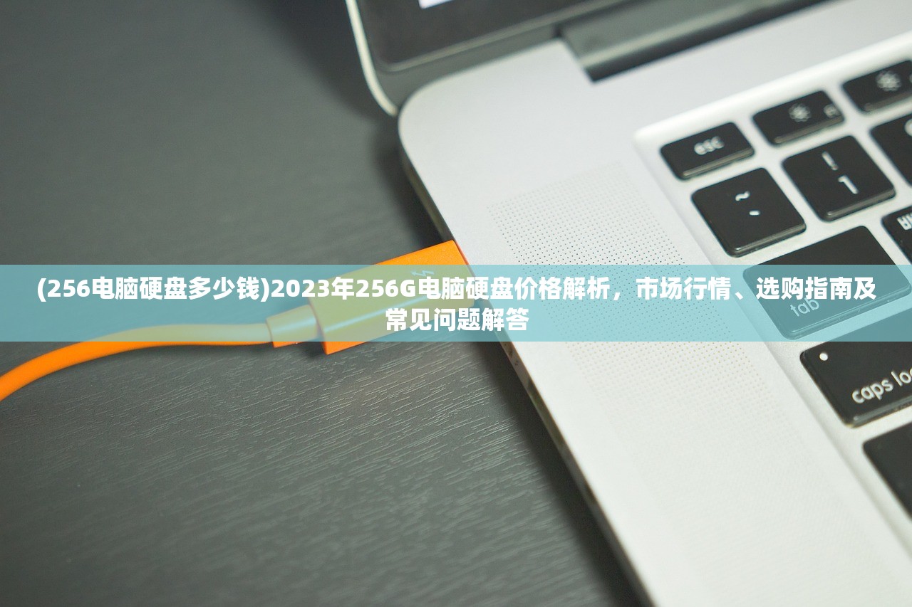 (256电脑硬盘多少钱)2023年256G电脑硬盘价格解析，市场行情、选购指南及常见问题解答