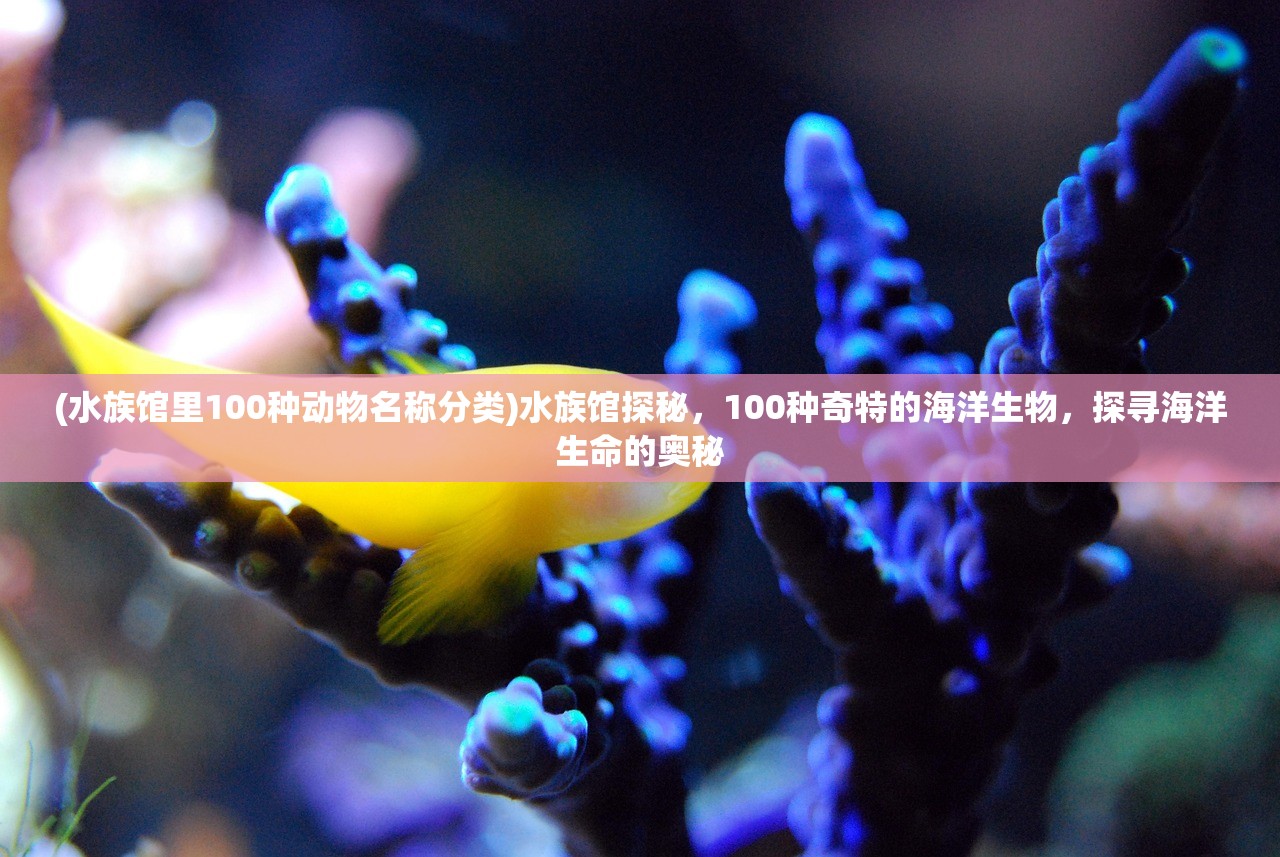 (水族馆里100种动物名称分类)水族馆探秘，100种奇特的海洋生物，探寻海洋生命的奥秘